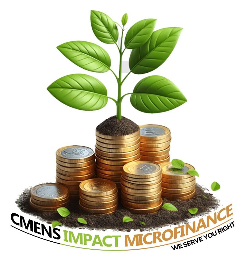 cmensimpactmicrofinance.org